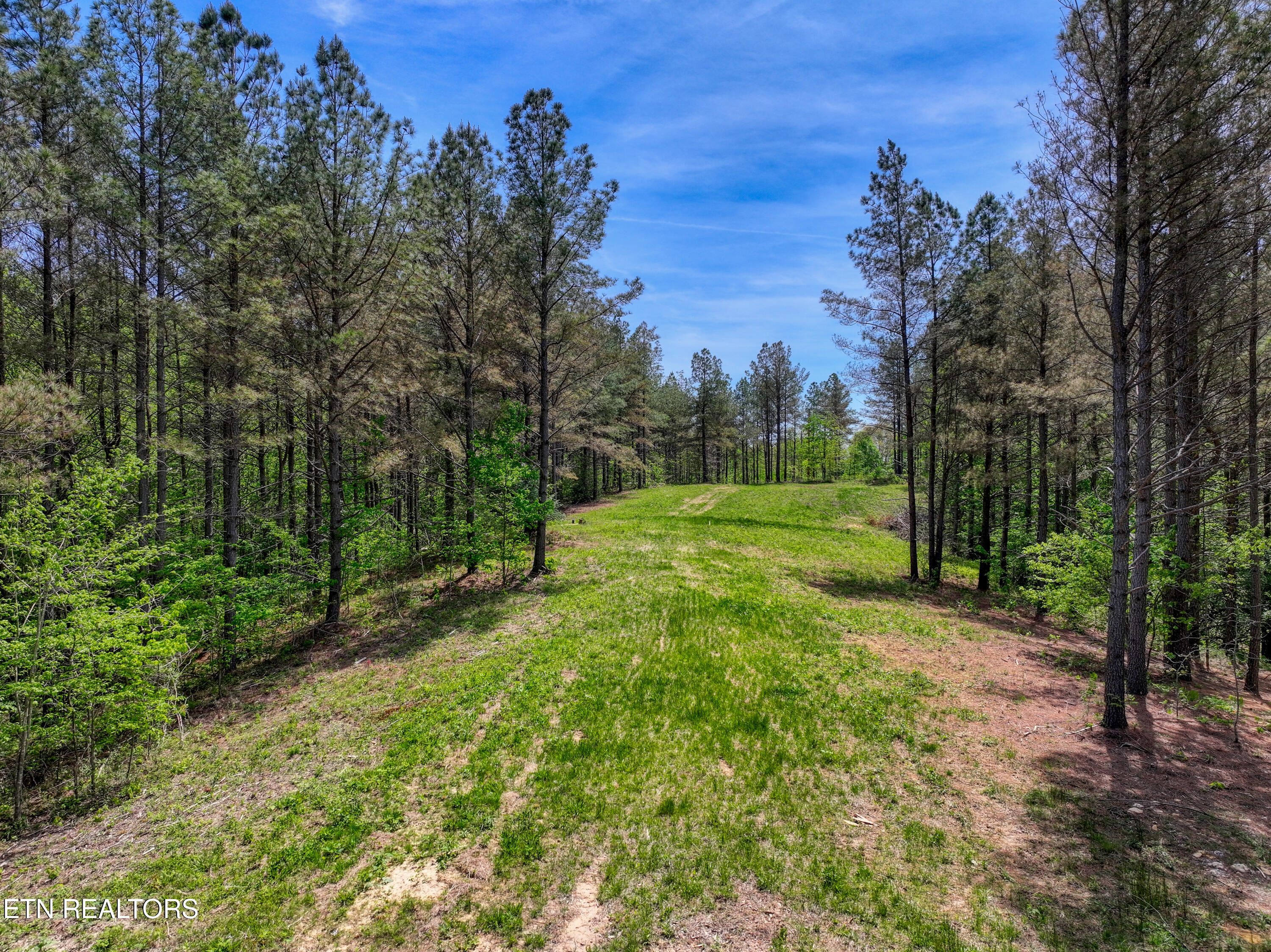 372 Stonecipher Court Sunbright TN 37872