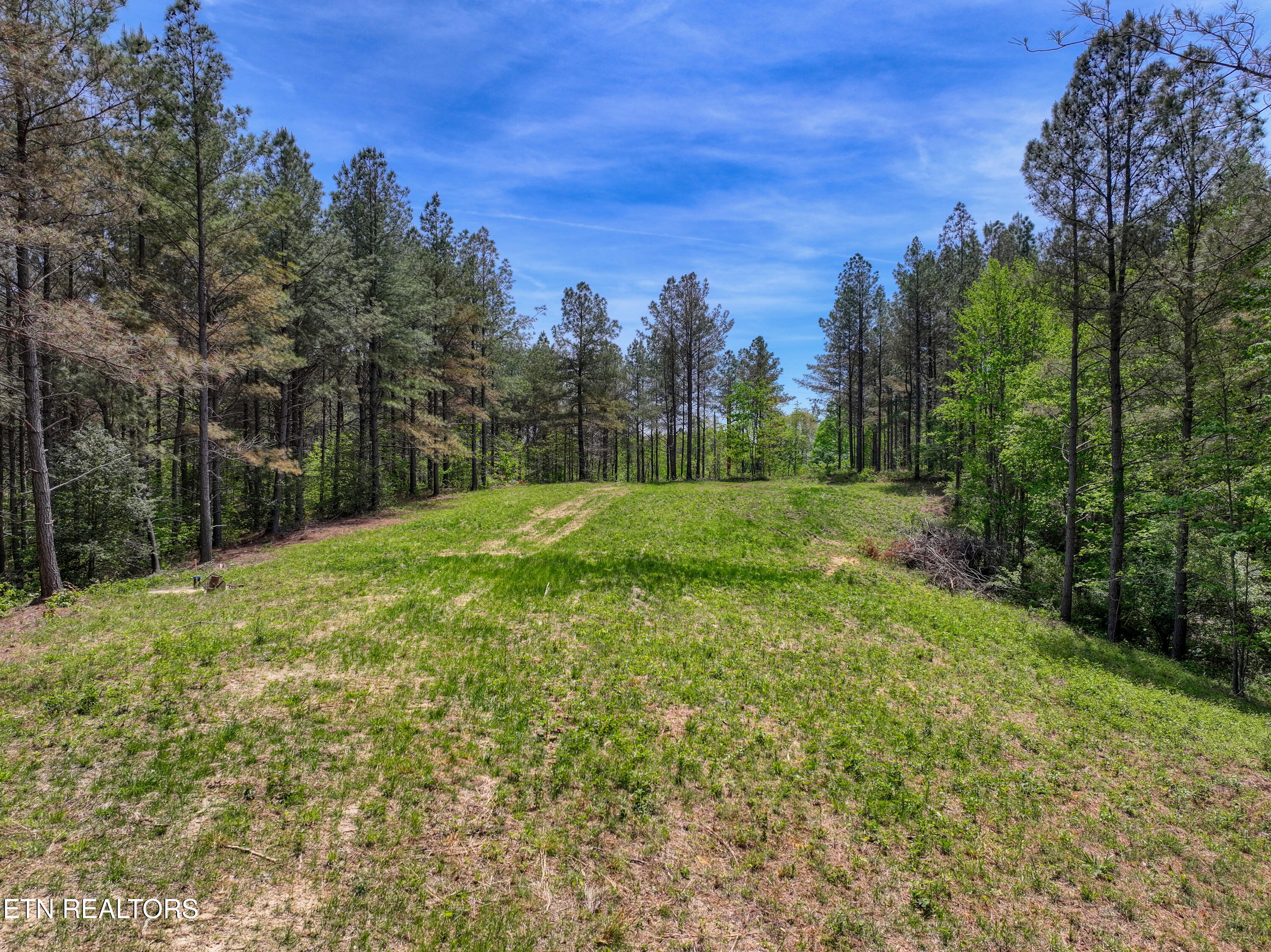 372 Stonecipher Court Sunbright TN 37872
