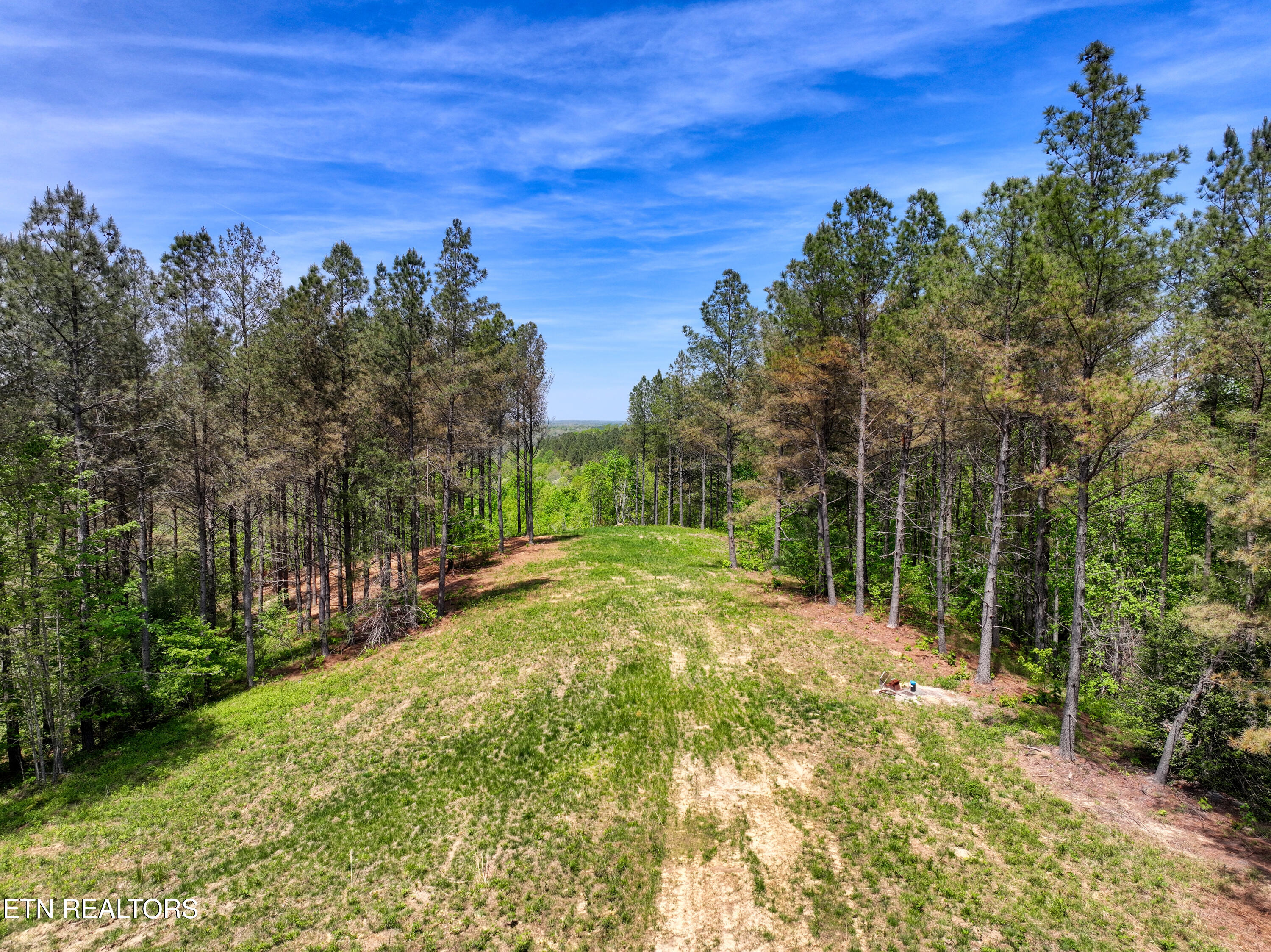 372 Stonecipher Court Sunbright TN 37872