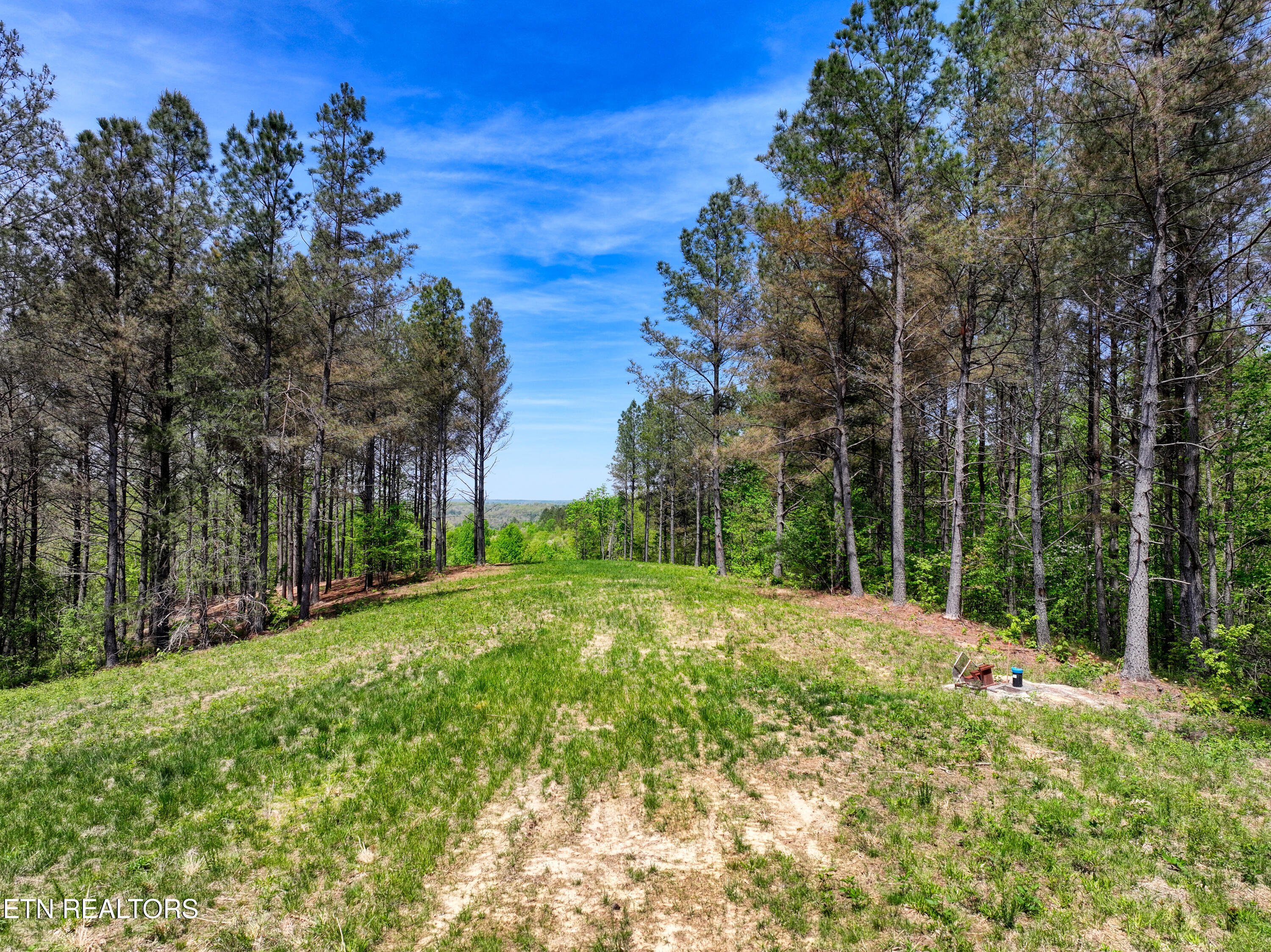 372 Stonecipher Court Sunbright TN 37872