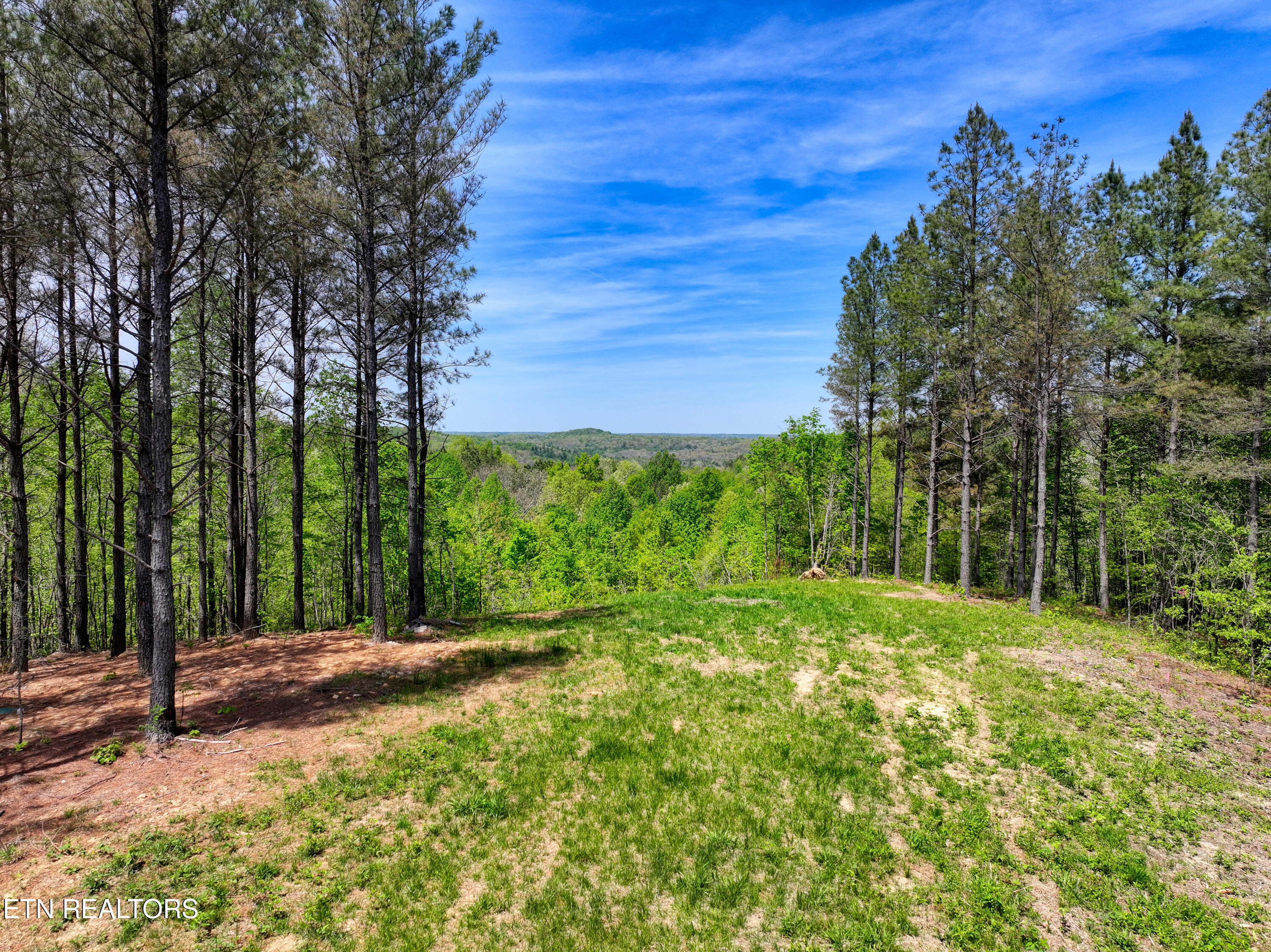372 Stonecipher Court Sunbright TN 37872