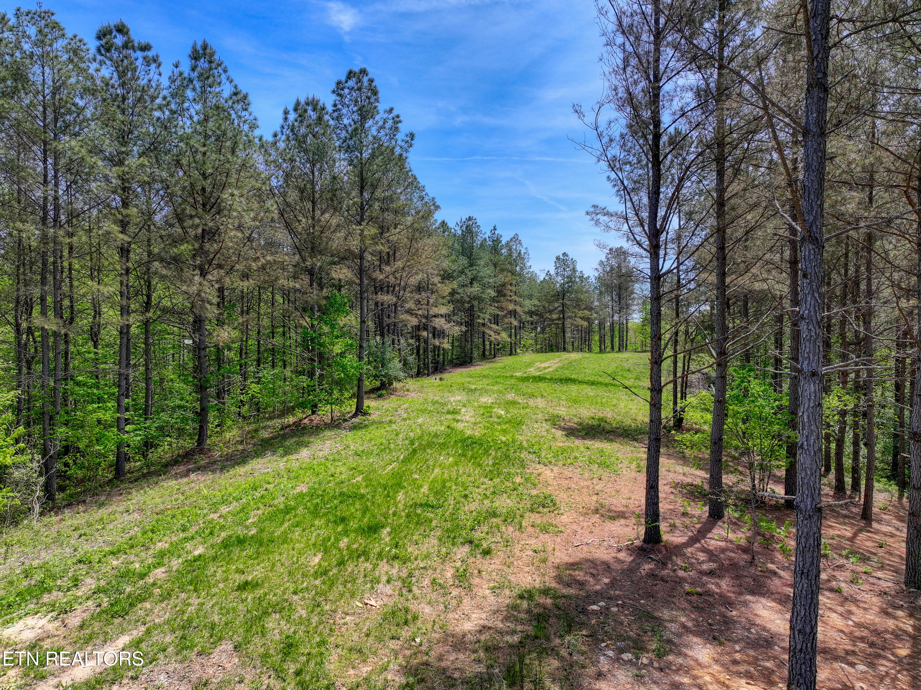 372 Stonecipher Court Sunbright TN 37872