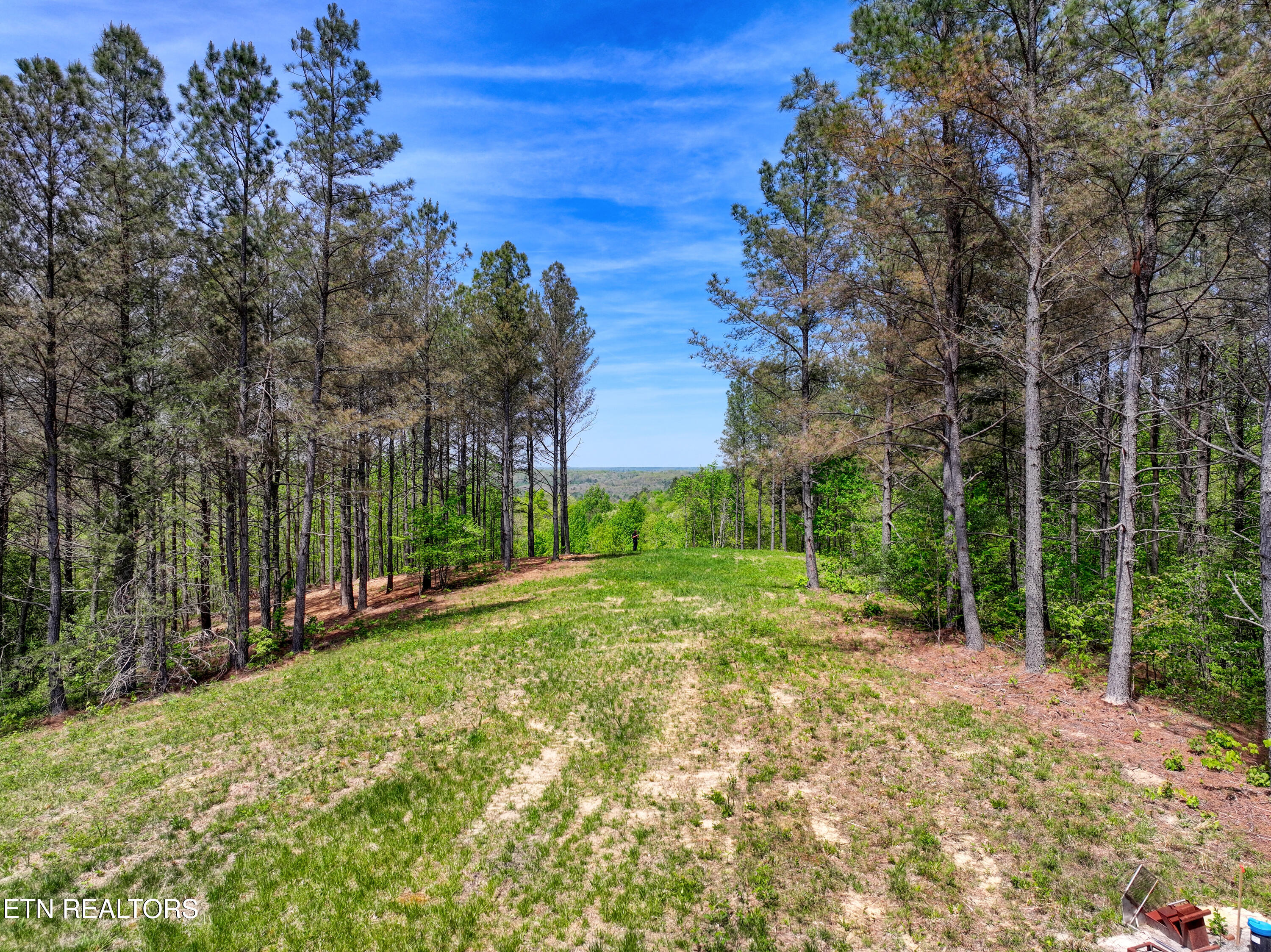 372 Stonecipher Court Sunbright TN 37872