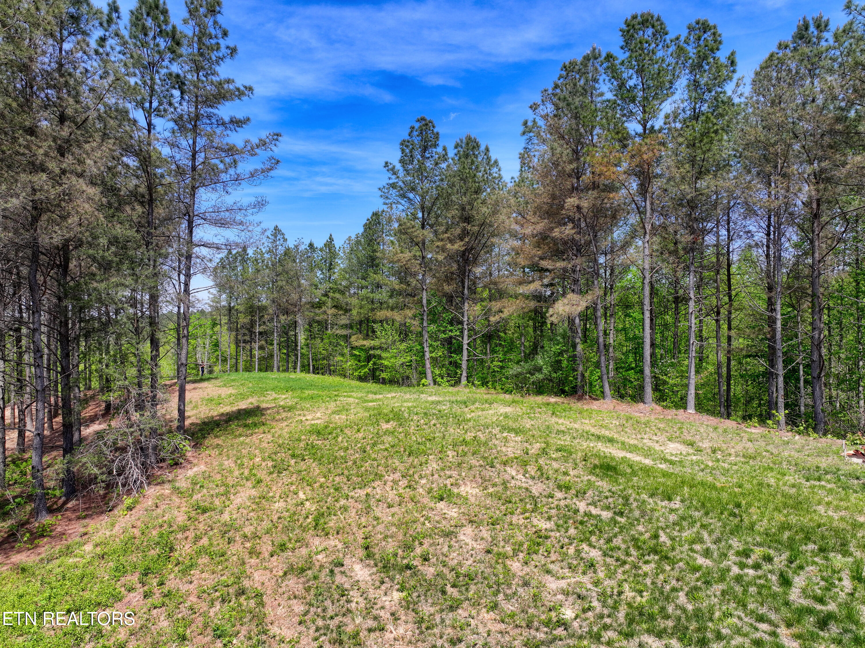 372 Stonecipher Court Sunbright TN 37872