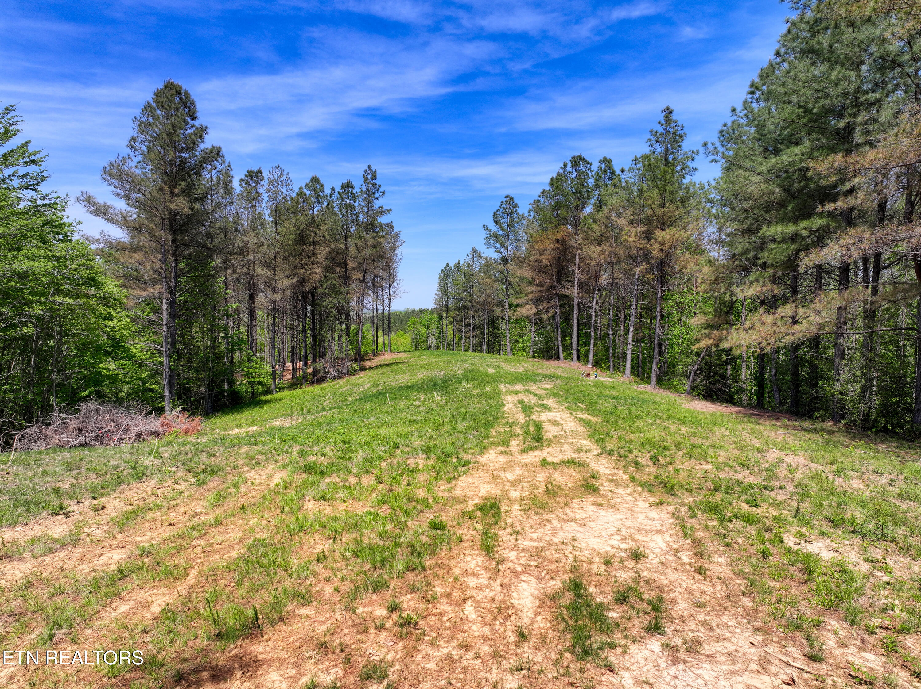 372 Stonecipher Court Sunbright TN 37872