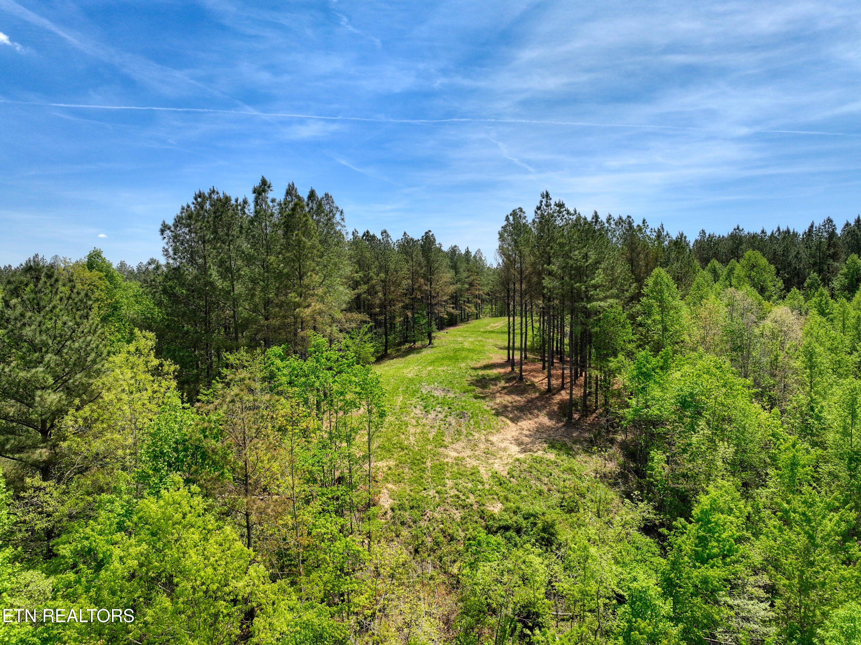 372 Stonecipher Court Sunbright TN 37872