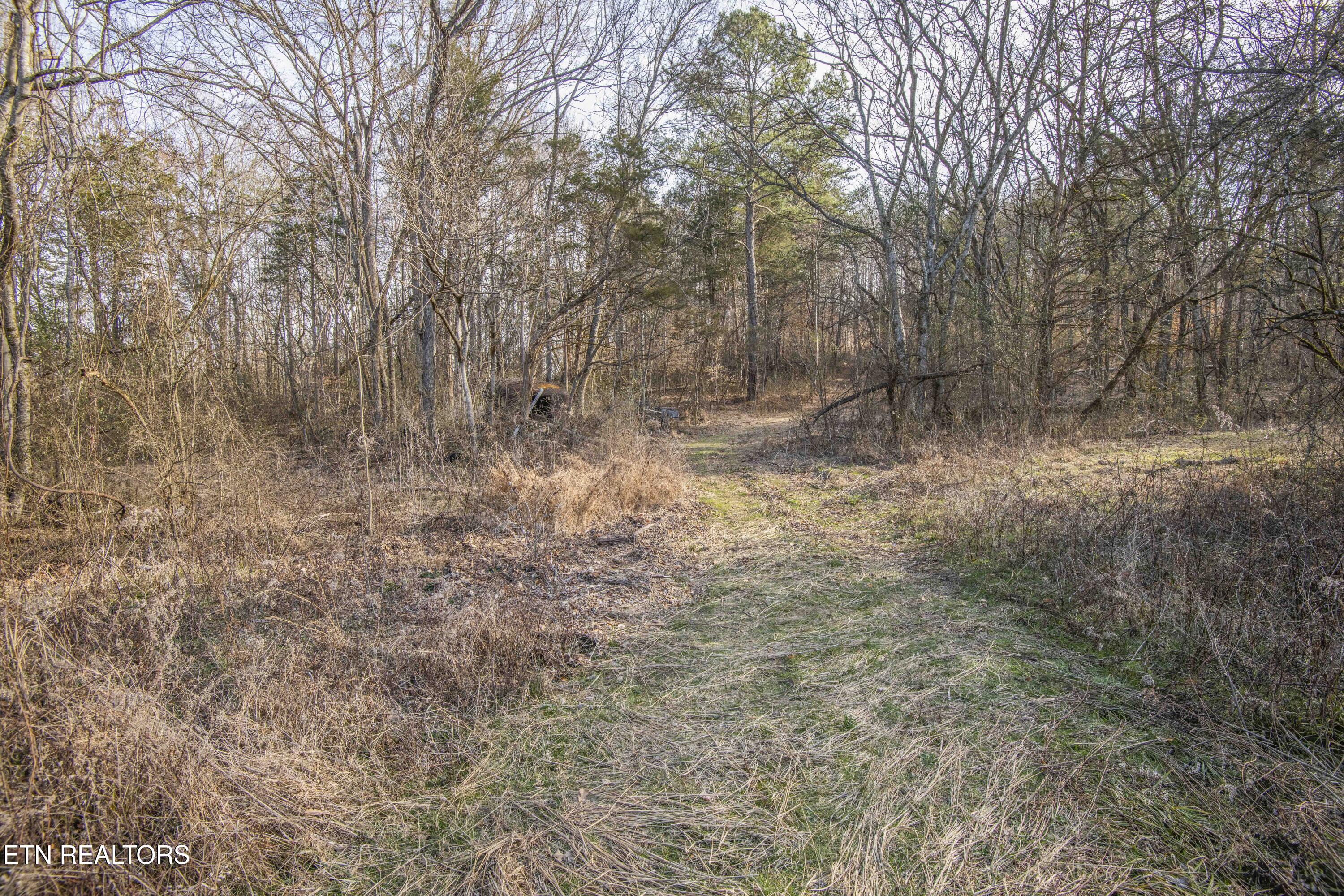 259 Sherman Road Ten Mile TN 37880
