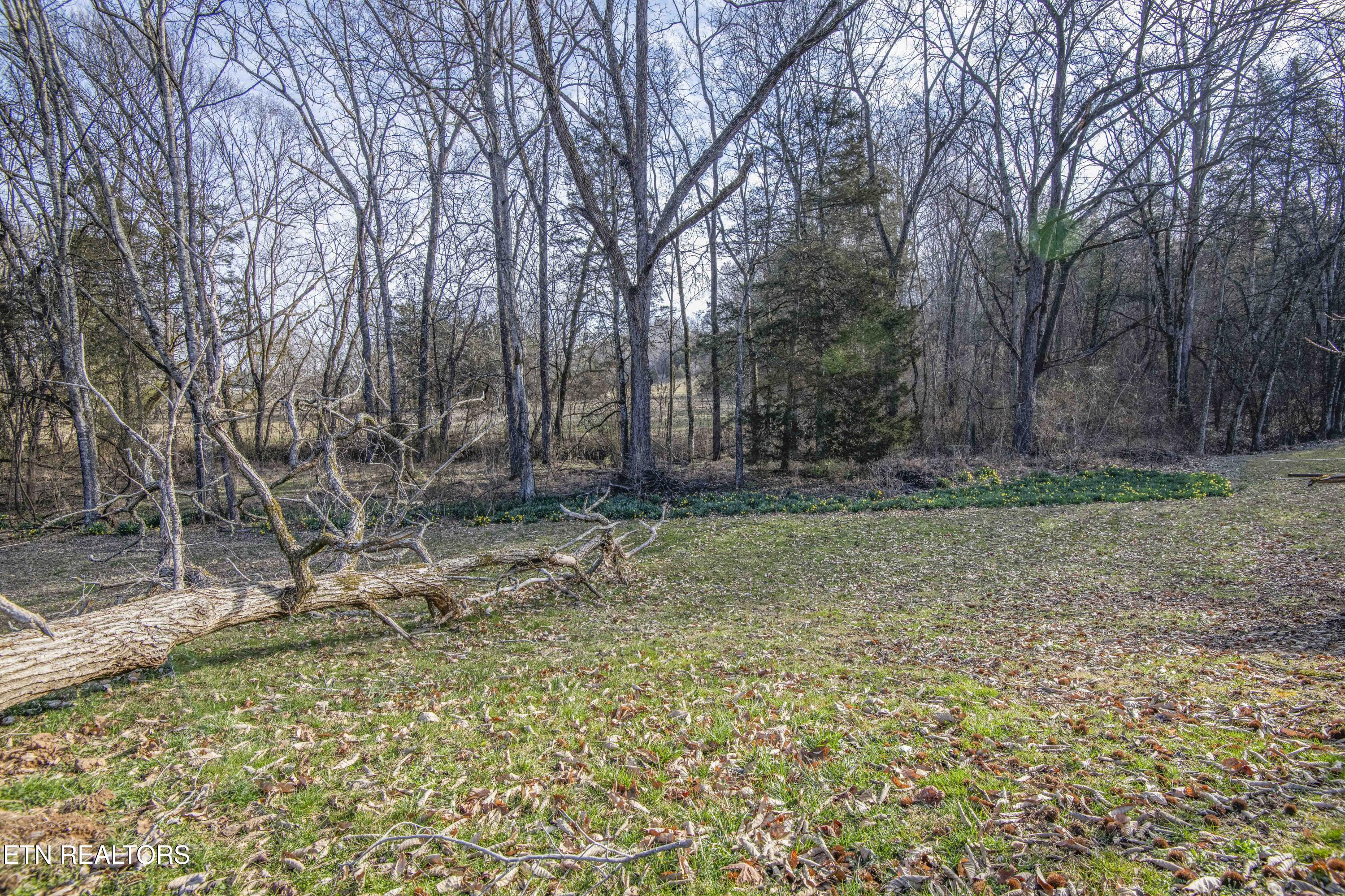 259 Sherman Road Ten Mile TN 37880