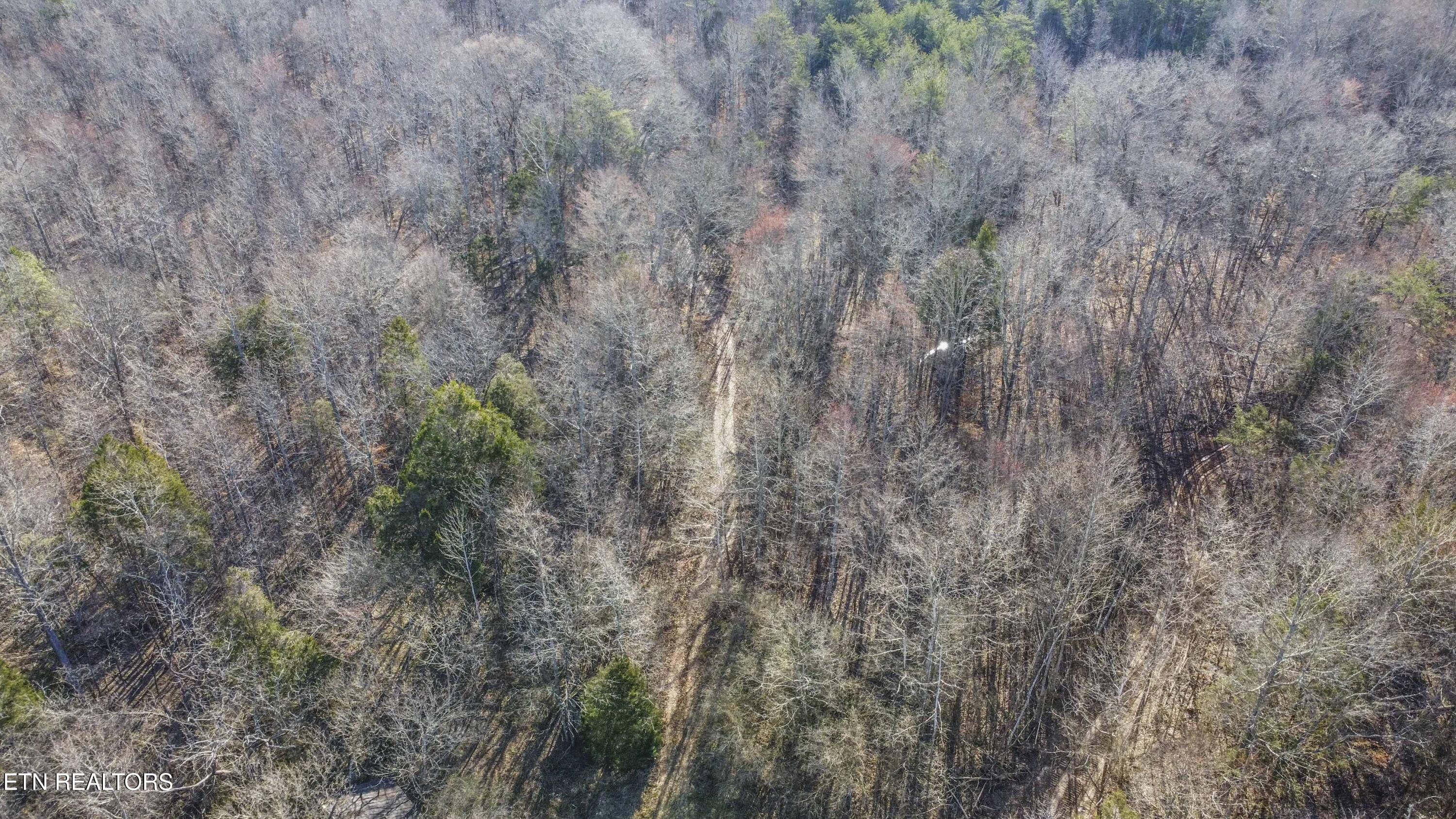 259 Sherman Road Ten Mile TN 37880