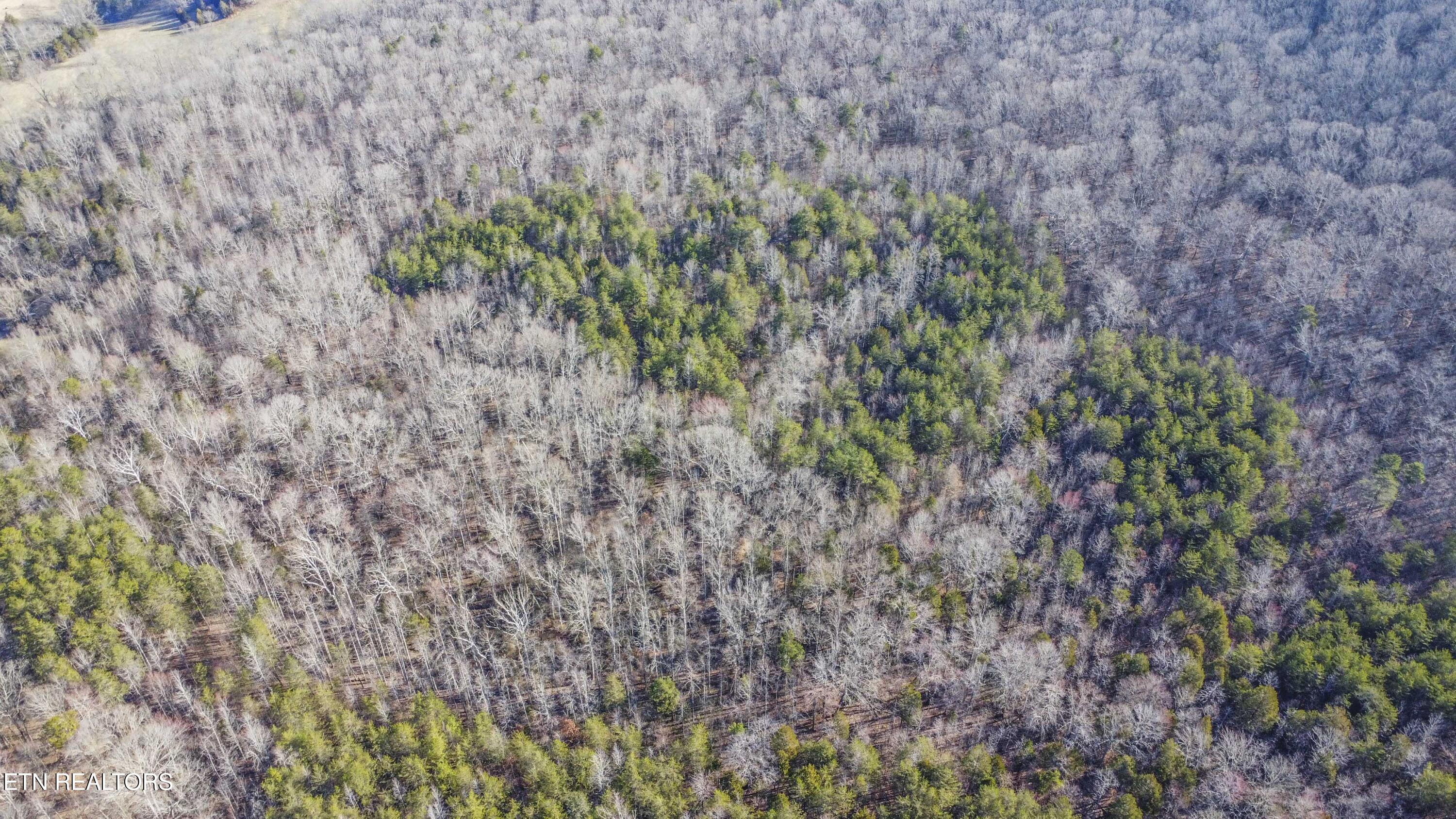 259 Sherman Road Ten Mile TN 37880