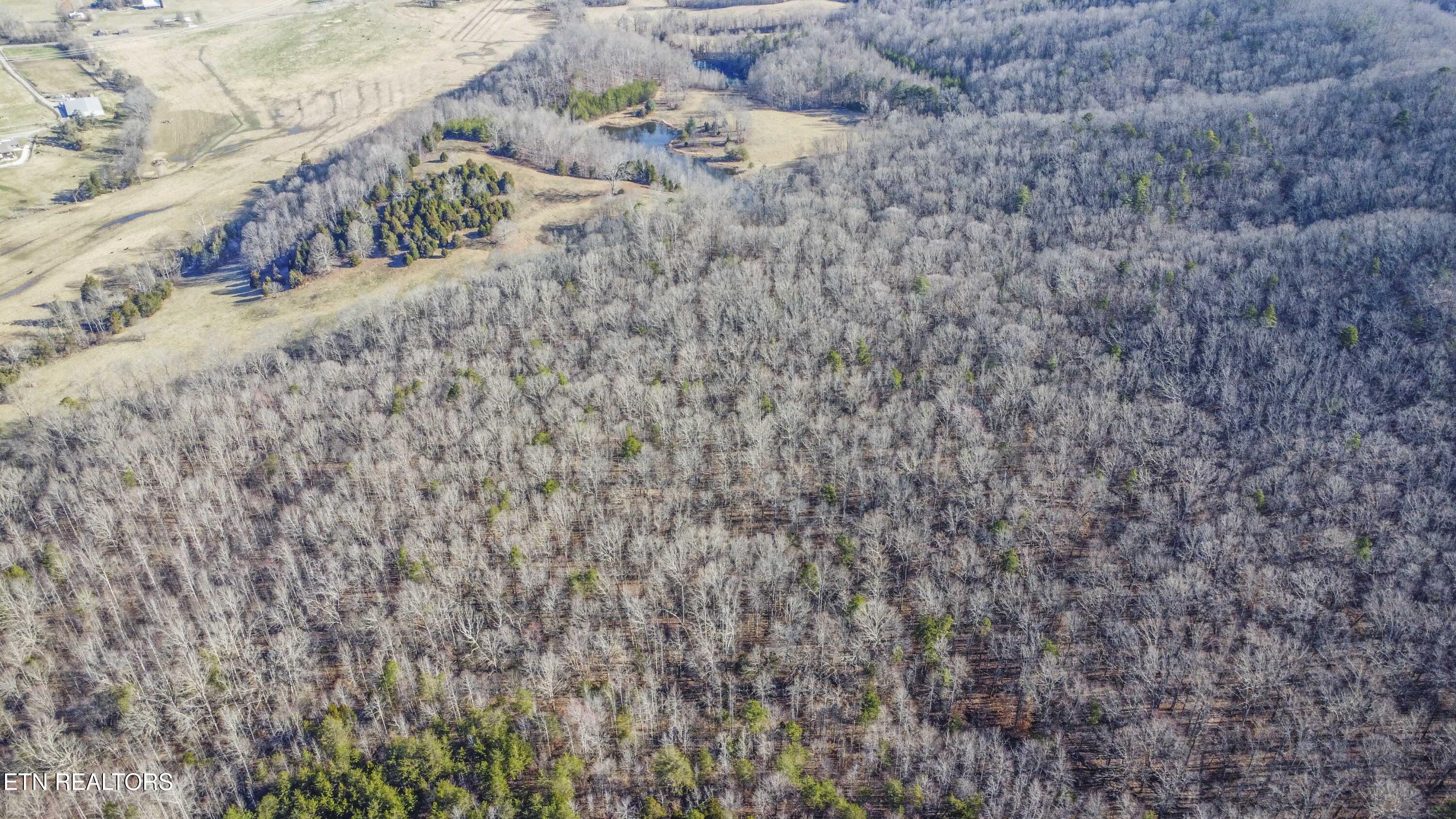 259 Sherman Road Ten Mile TN 37880