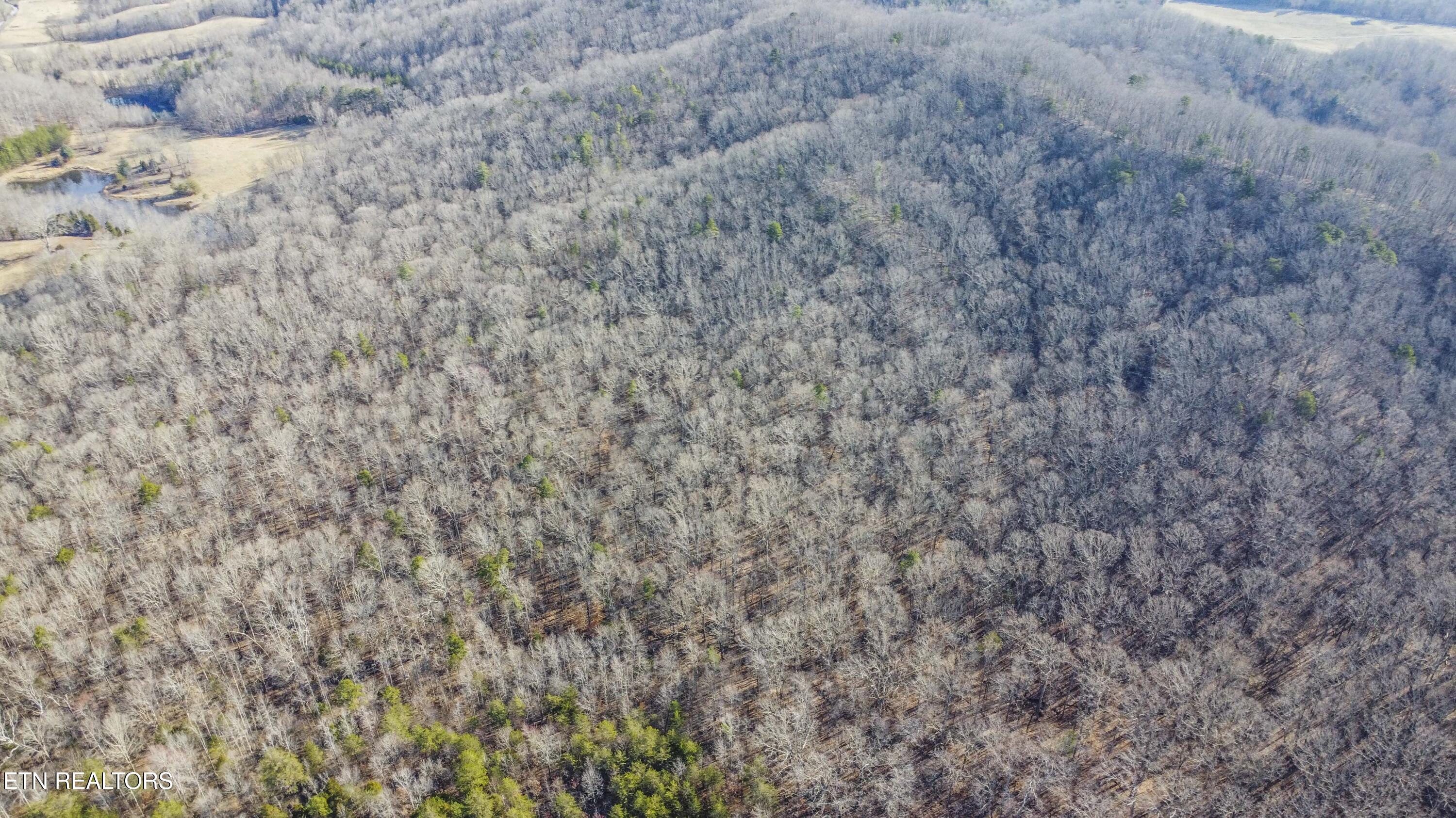 259 Sherman Road Ten Mile TN 37880