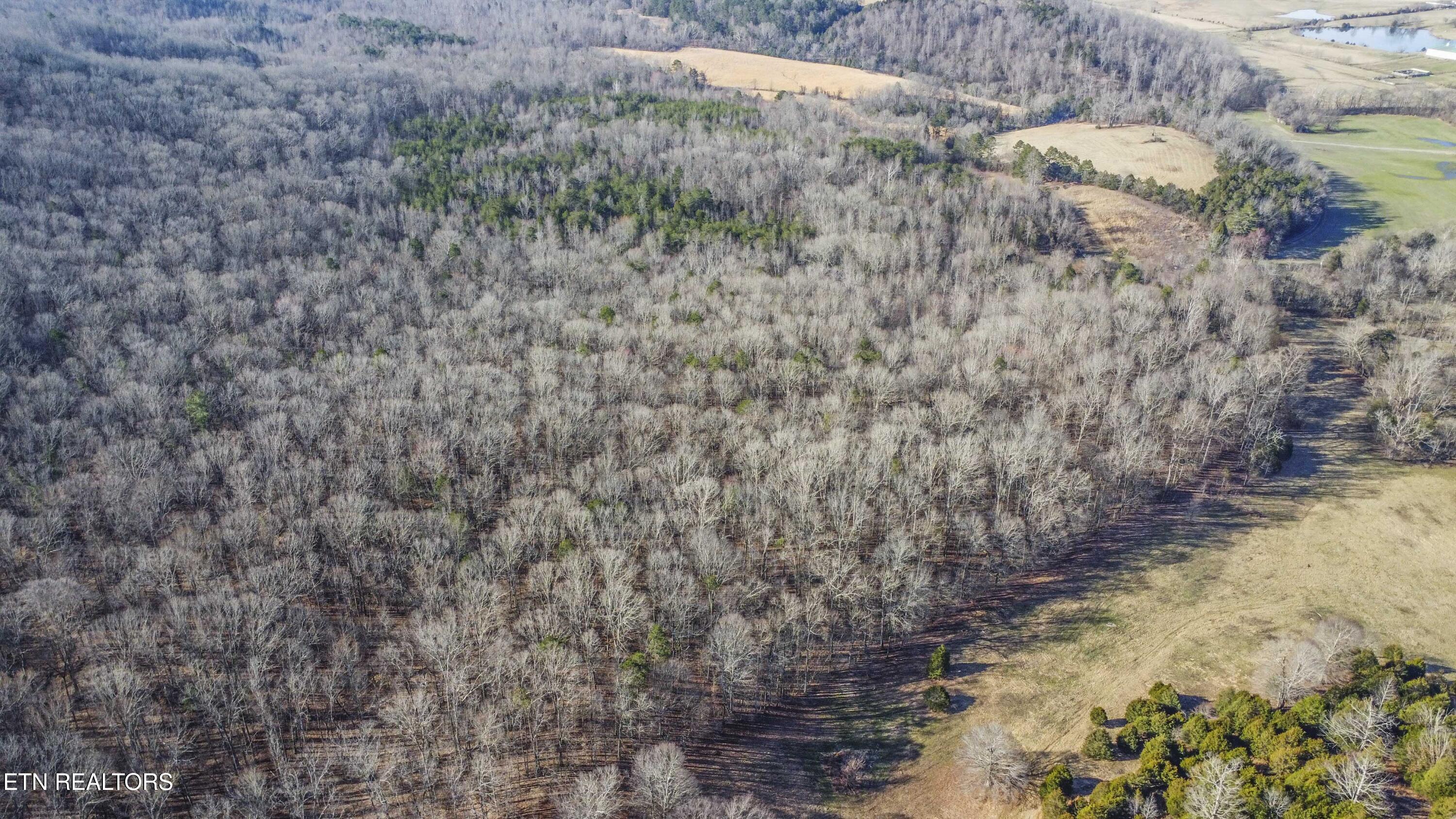 259 Sherman Road Ten Mile TN 37880