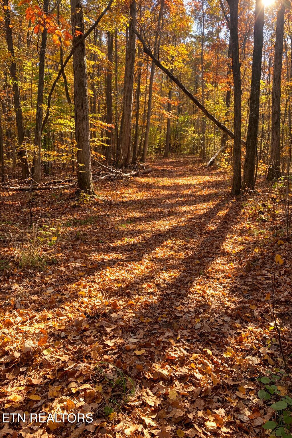 259 Sherman Road Ten Mile TN 37880