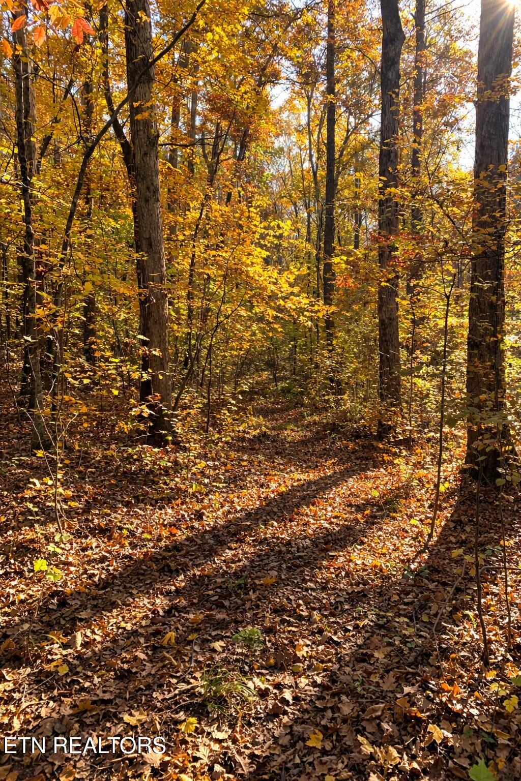 259 Sherman Road Ten Mile TN 37880