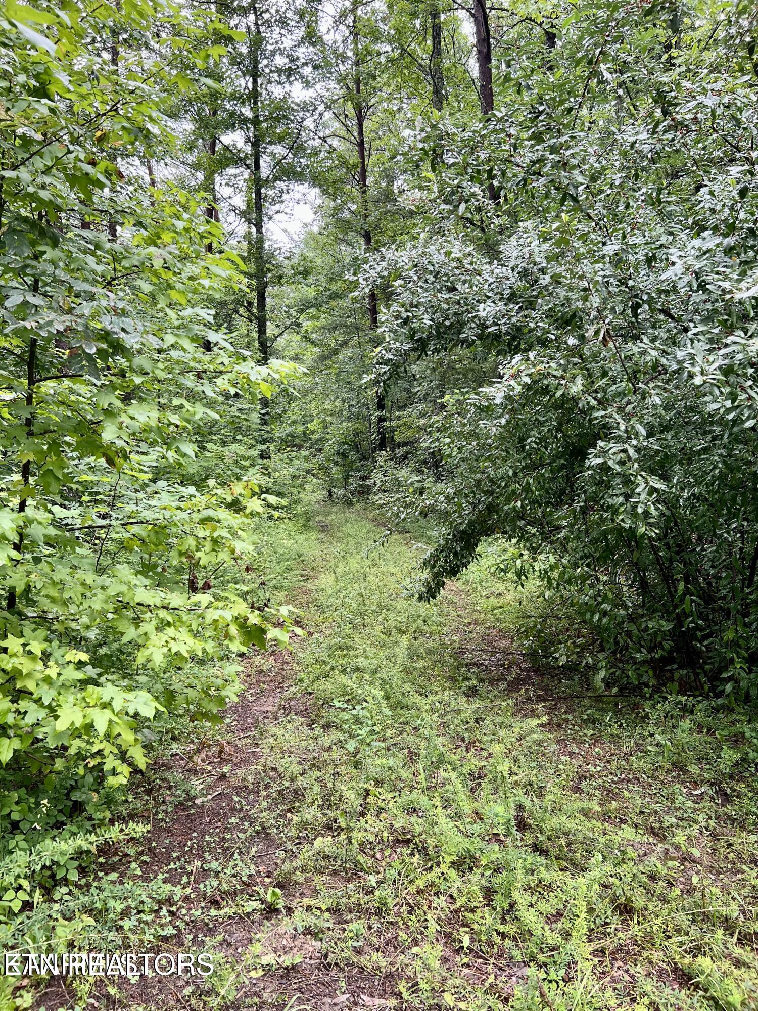 Azalea Trail Sevierville TN 37876