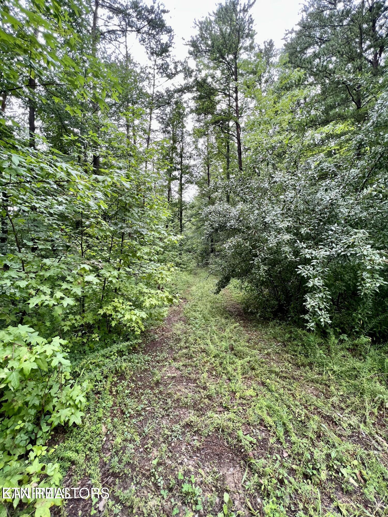 Azalea Trail Sevierville TN 37876