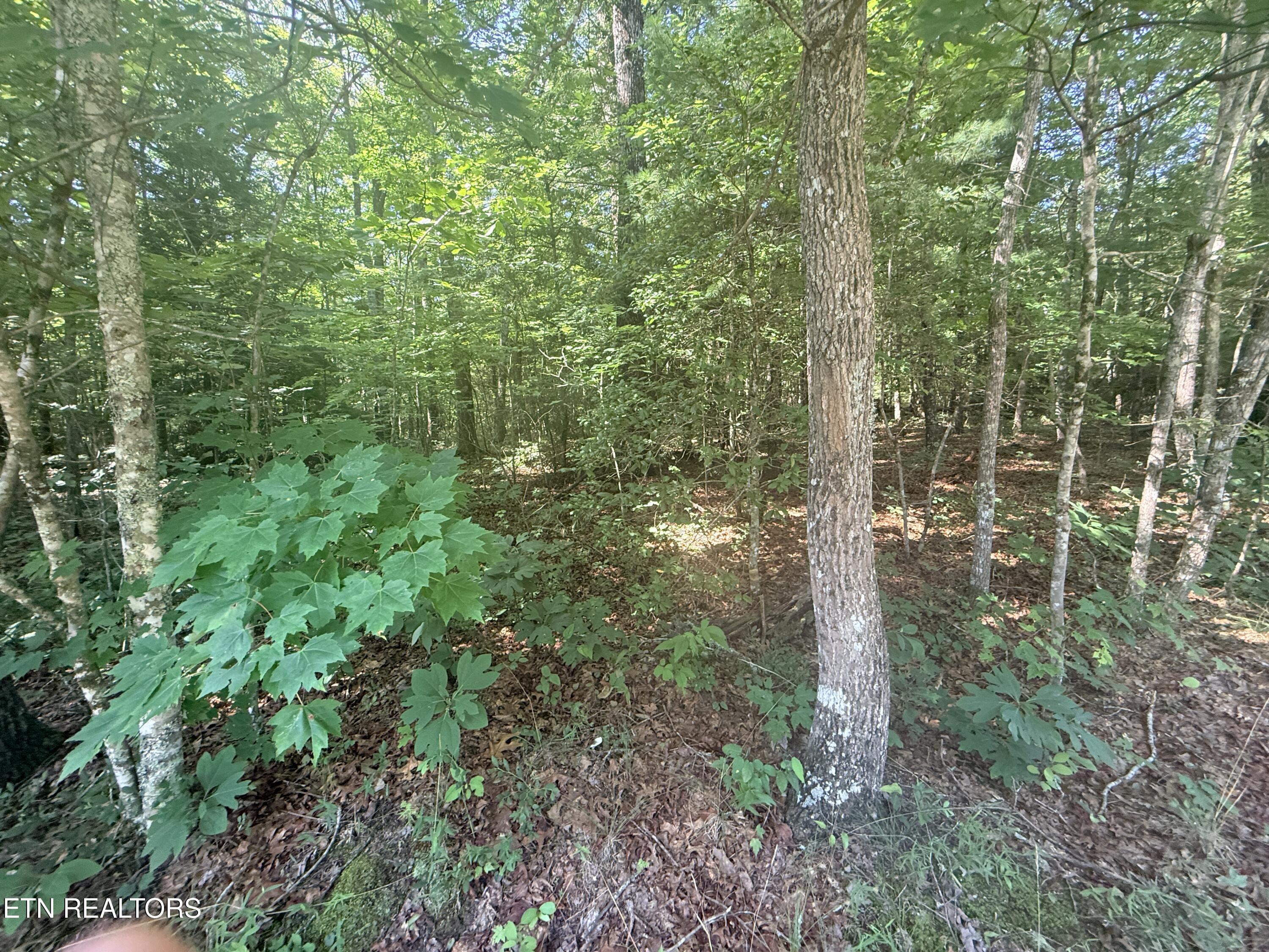 390 Georgee Road Jamestown TN 38556