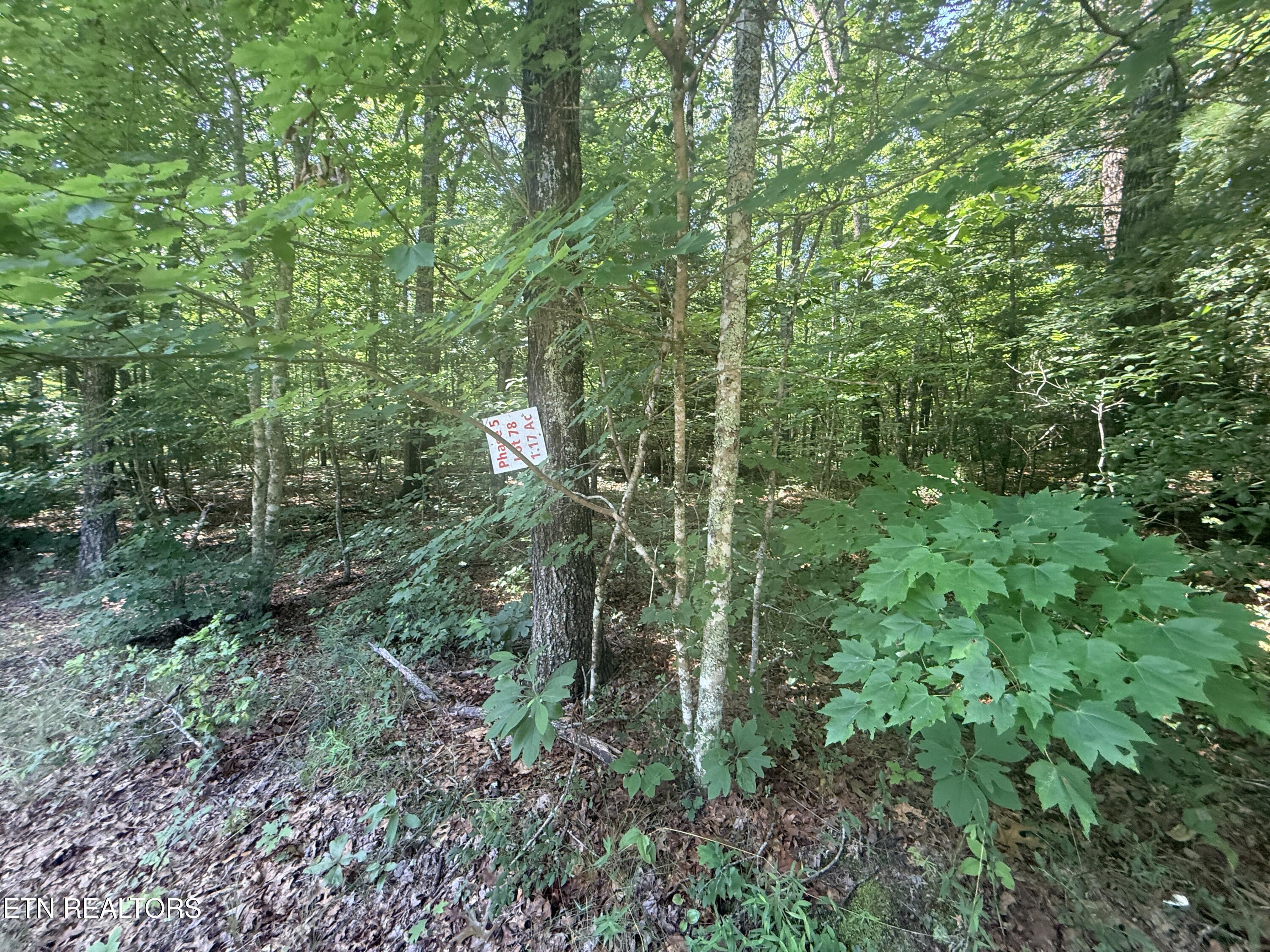 390 Georgee Road Jamestown TN 38556