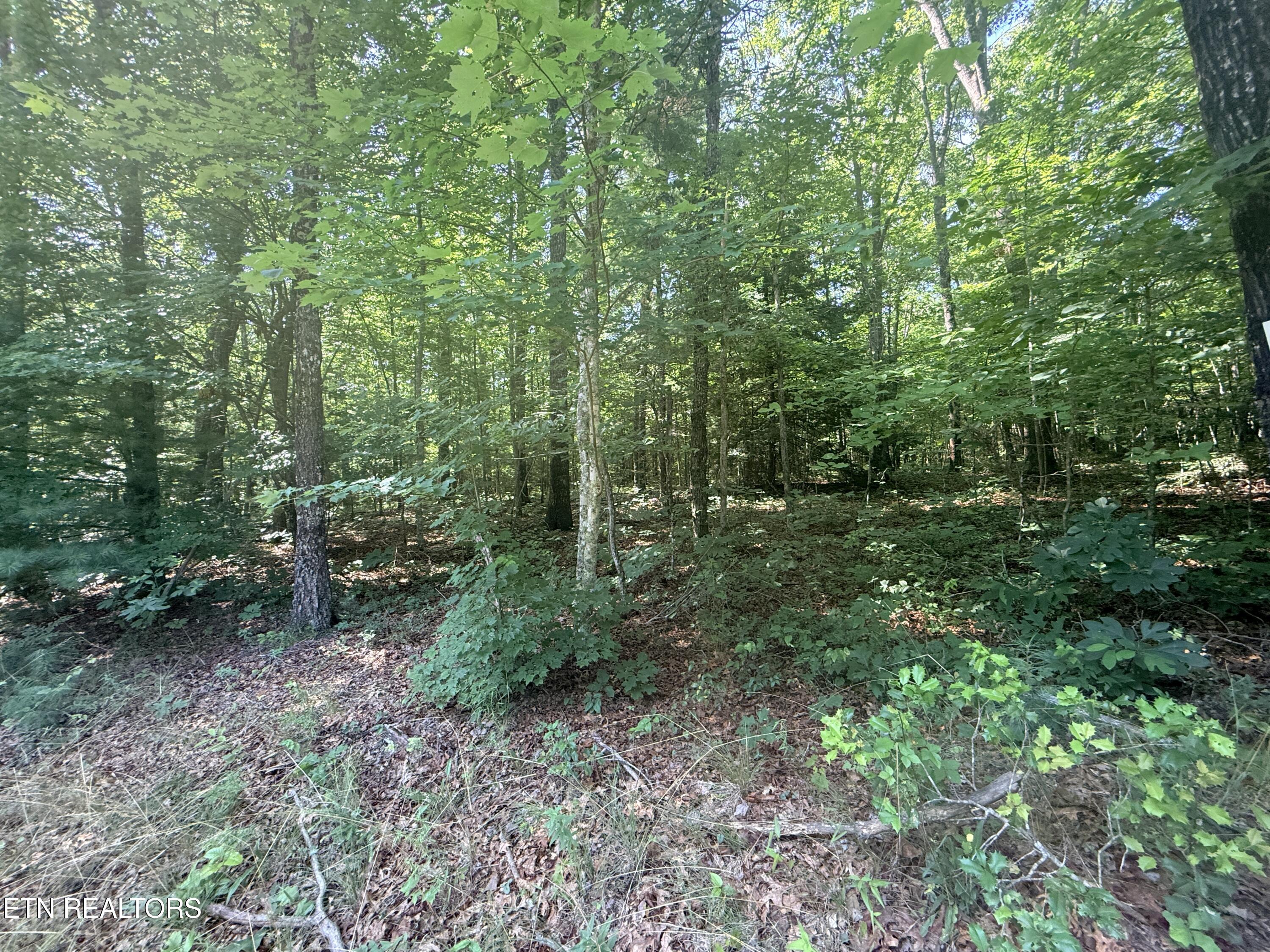 390 Georgee Road Jamestown TN 38556