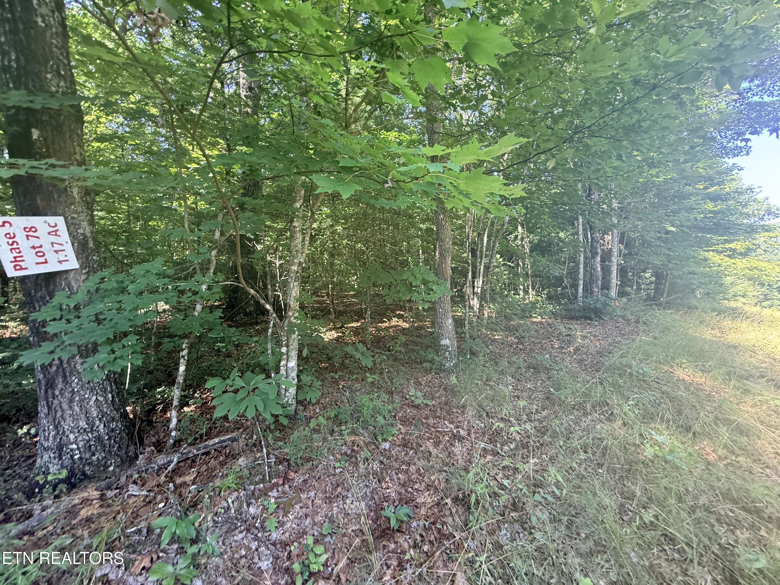 390 Georgee Road Jamestown TN 38556