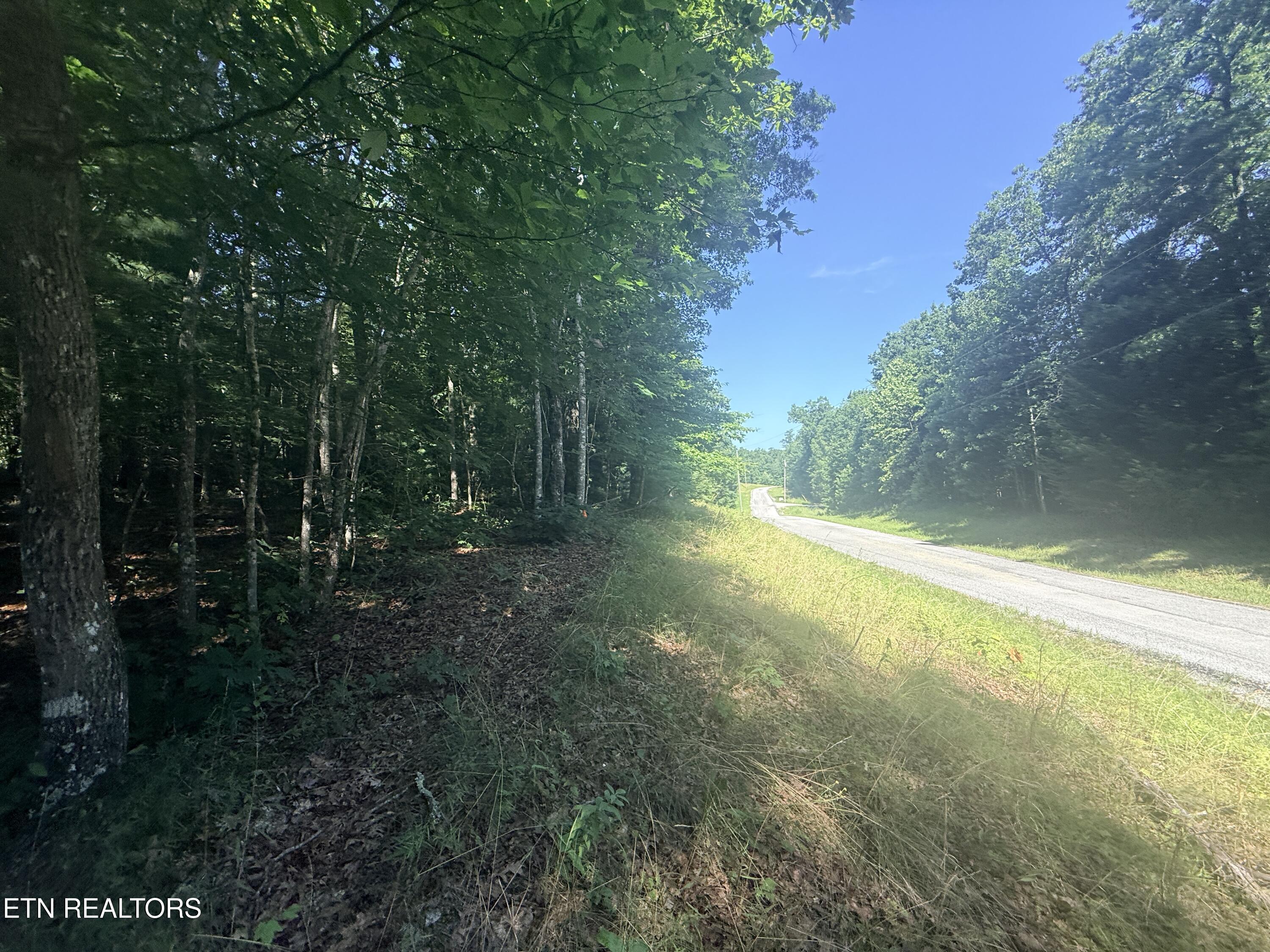 390 Georgee Road Jamestown TN 38556