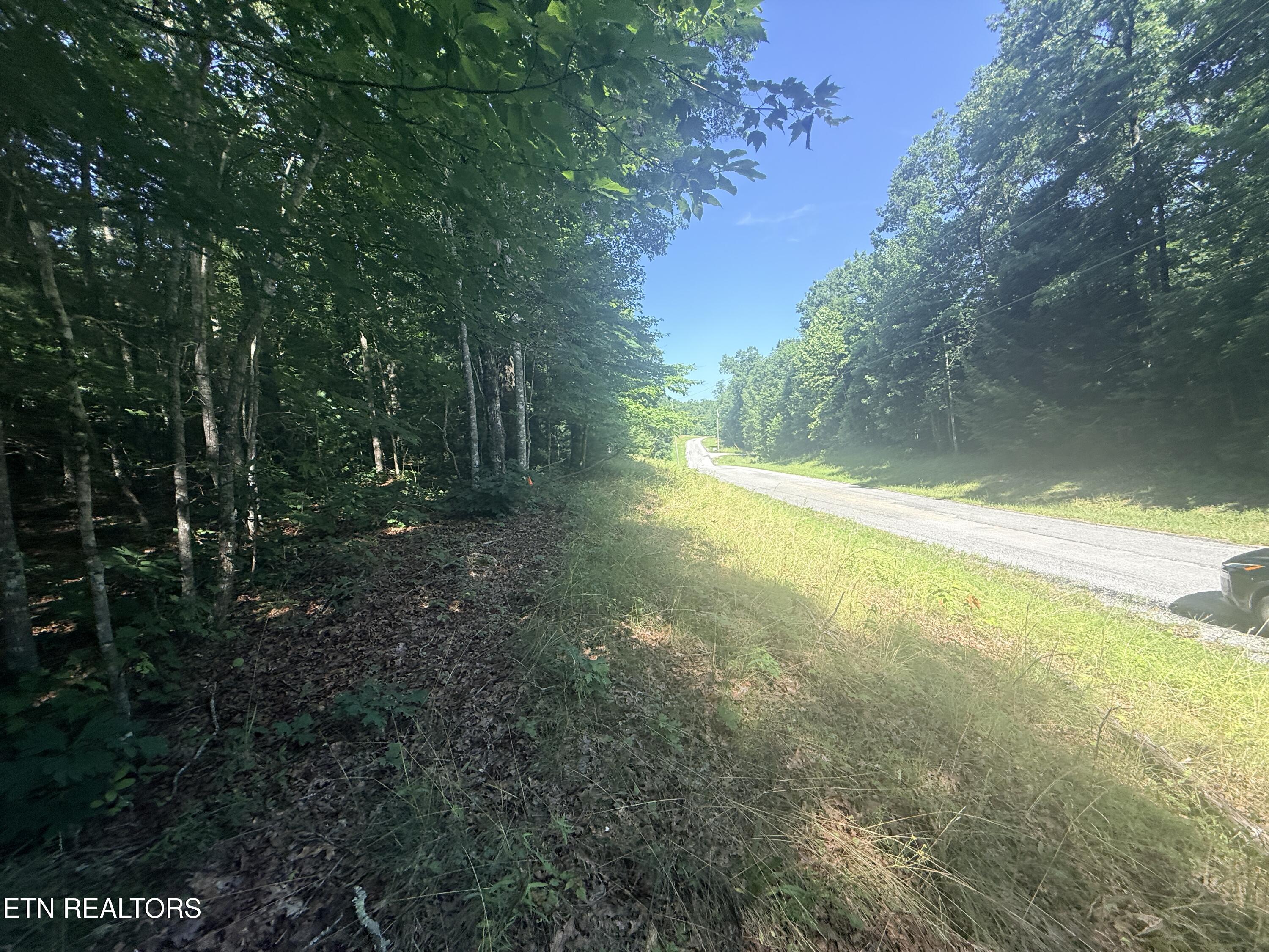 390 Georgee Road Jamestown TN 38556