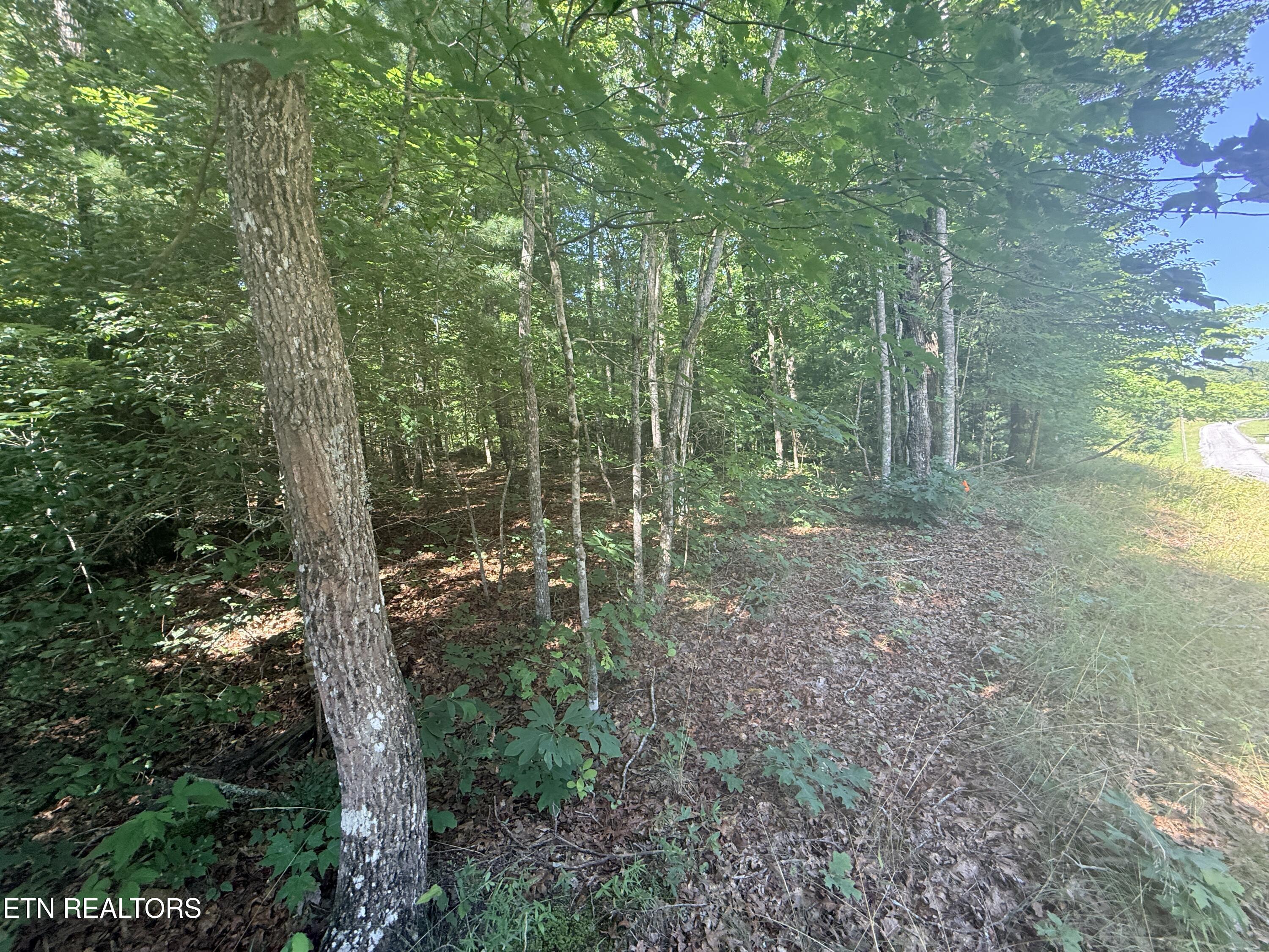 390 Georgee Road Jamestown TN 38556