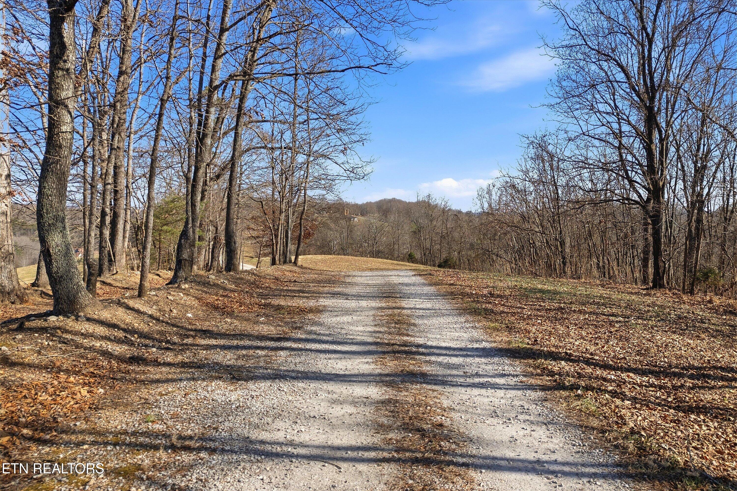 Lot 0 Sugar Hollow Road Lafollette TN 37766