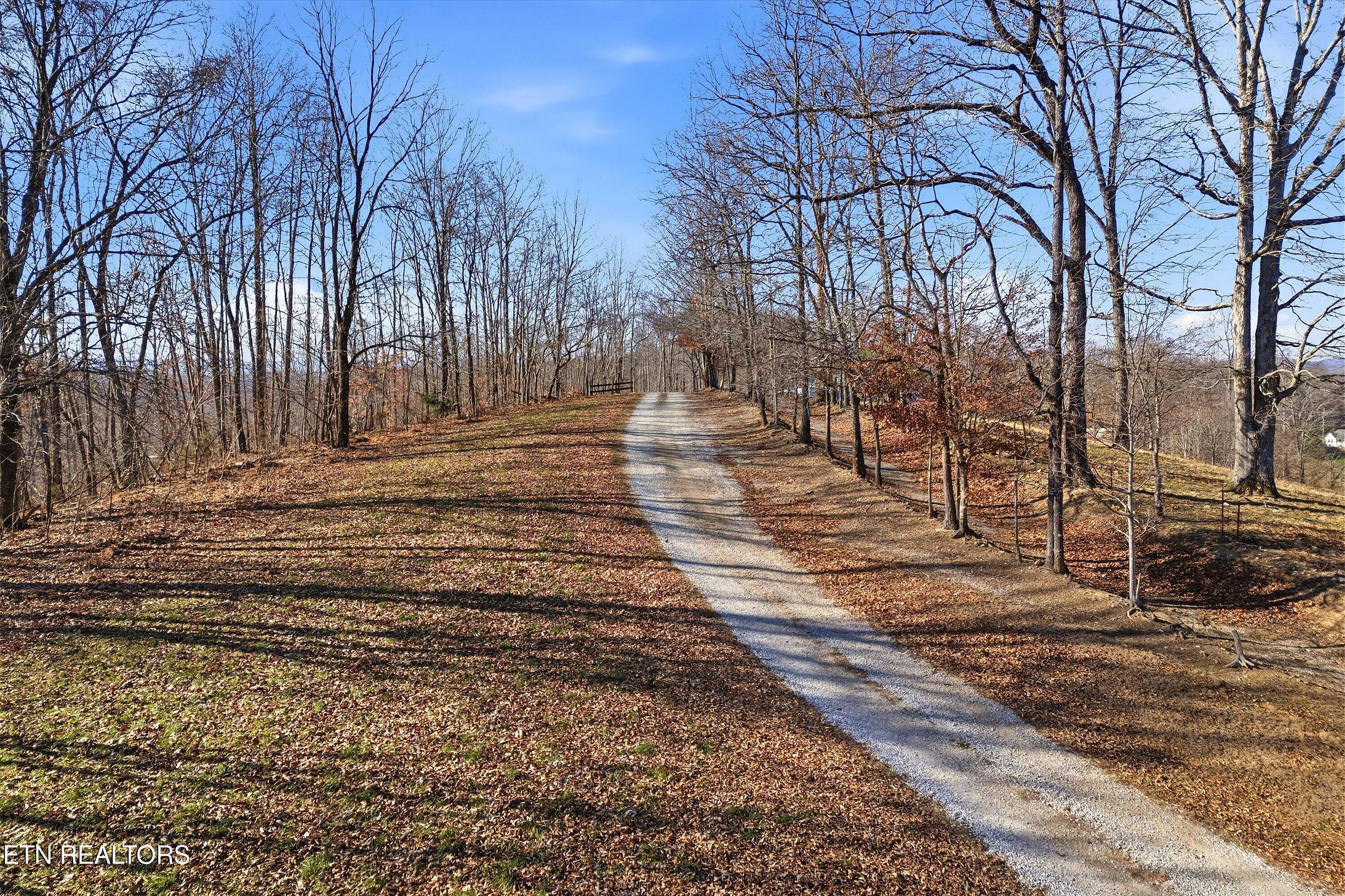 Lot 0 Sugar Hollow Road Lafollette TN 37766