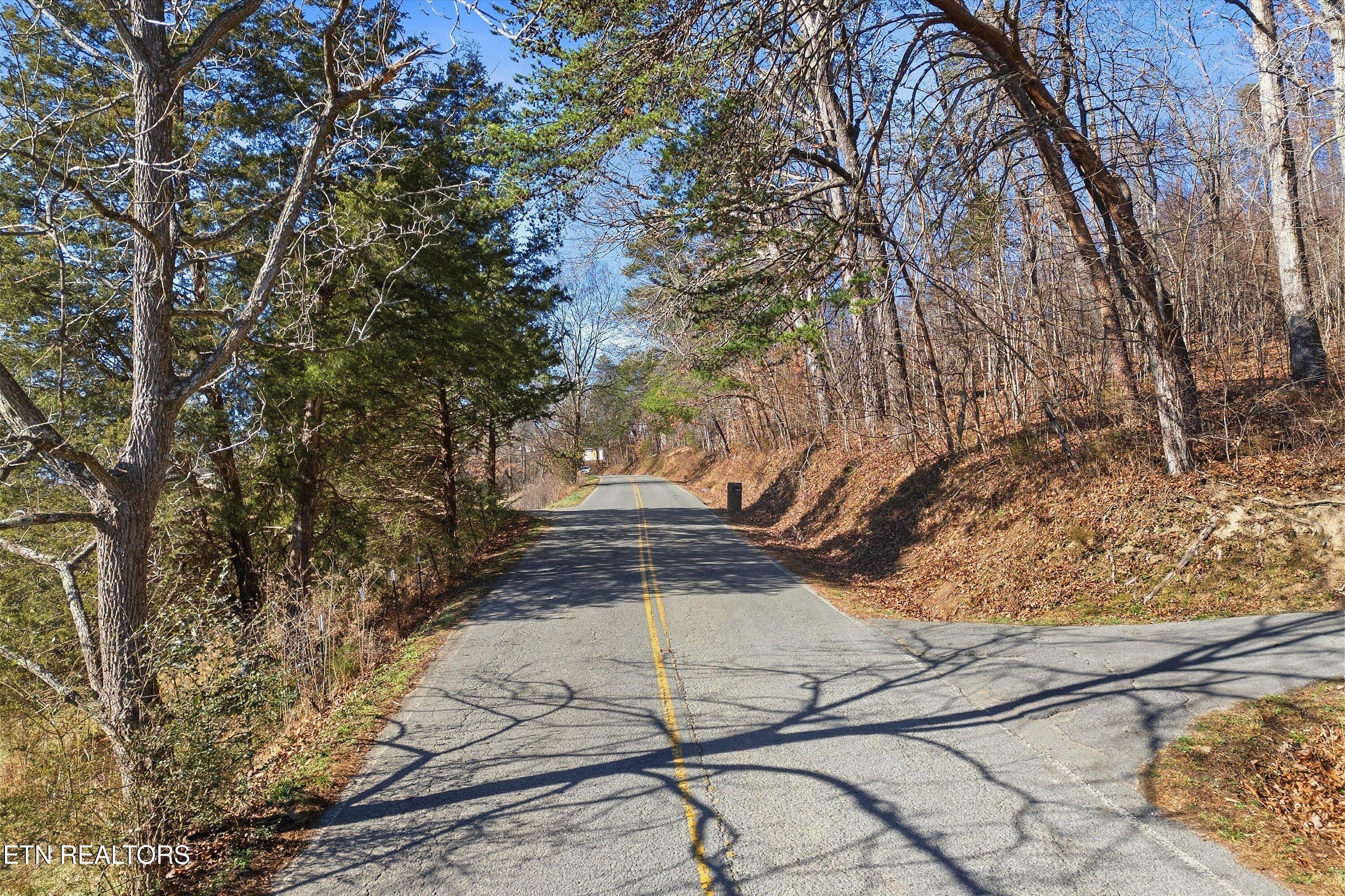 Lot 0 Sugar Hollow Road Lafollette TN 37766