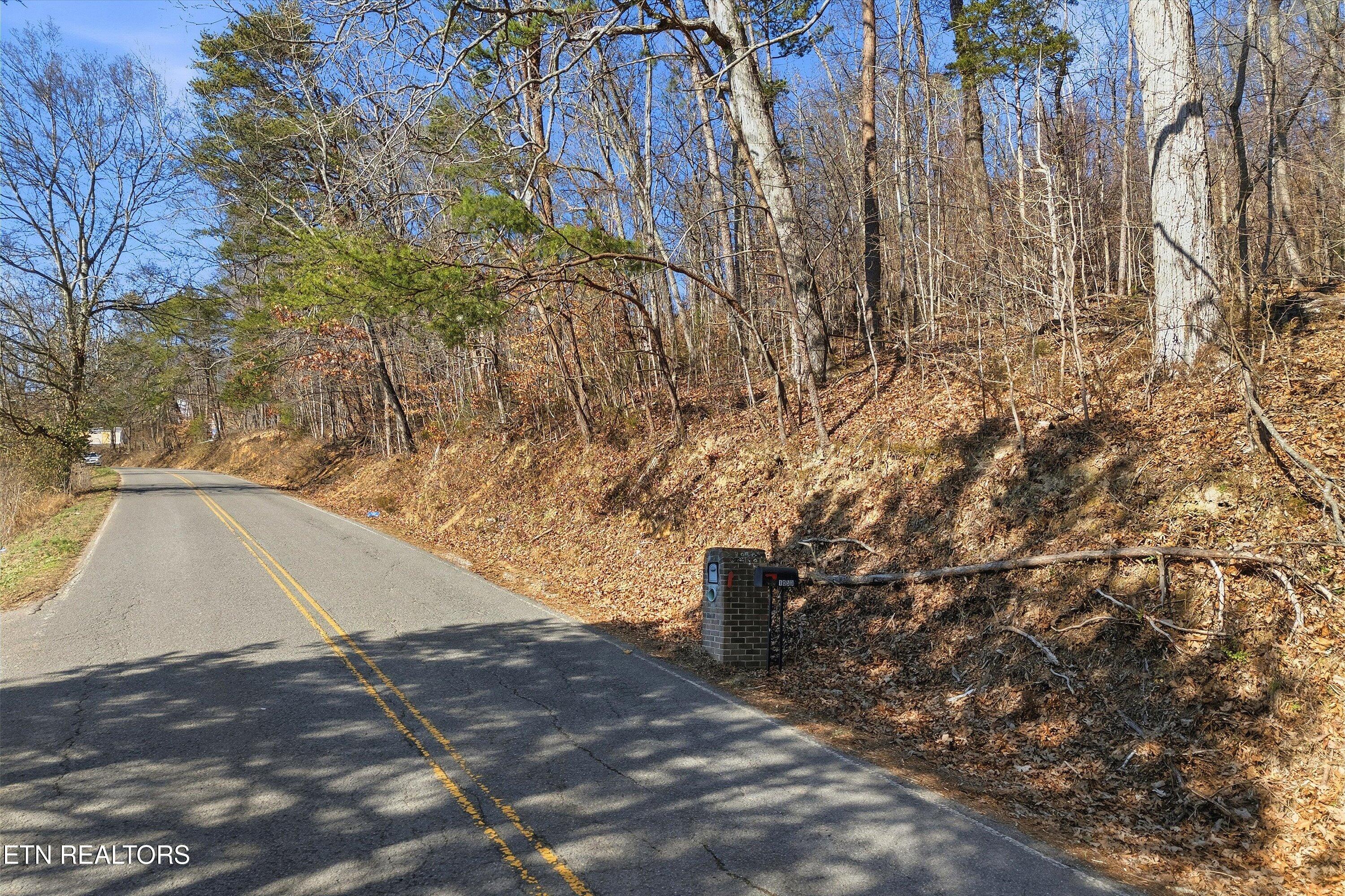 Lot 0 Sugar Hollow Road Lafollette TN 37766