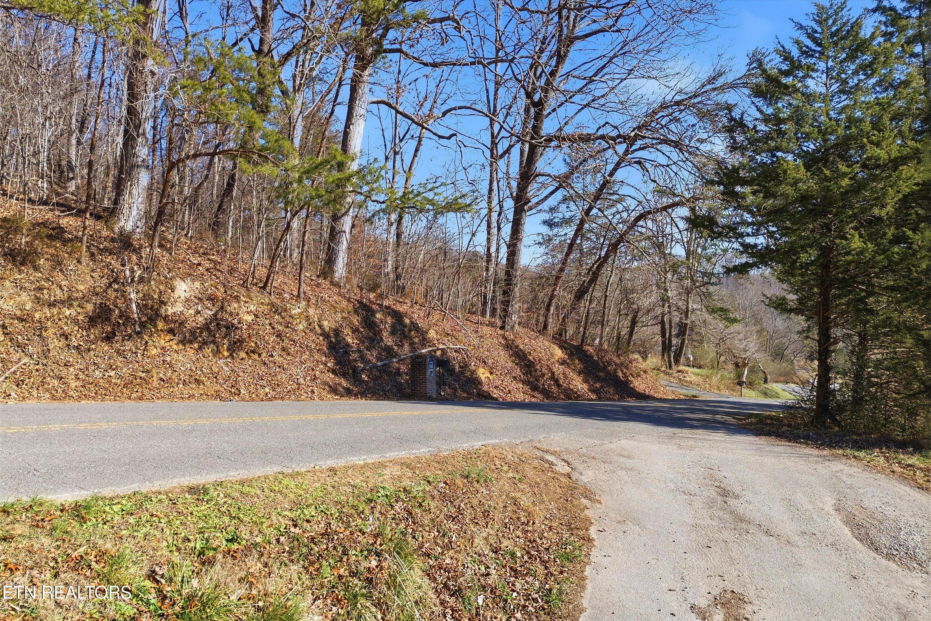 Lot 0 Sugar Hollow Road Lafollette TN 37766