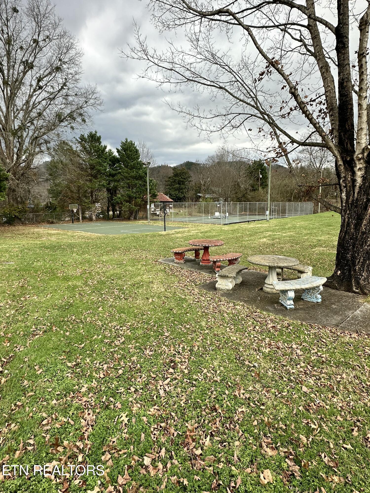 Lot 94 Highway 73 Townsend TN 37882