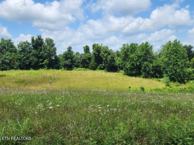 Lot 10 Rose Hill Ed Road Red Boiling Springs TN 37150