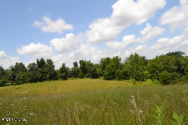 Lot 10 Rose Hill Ed Road Red Boiling Springs TN 37150