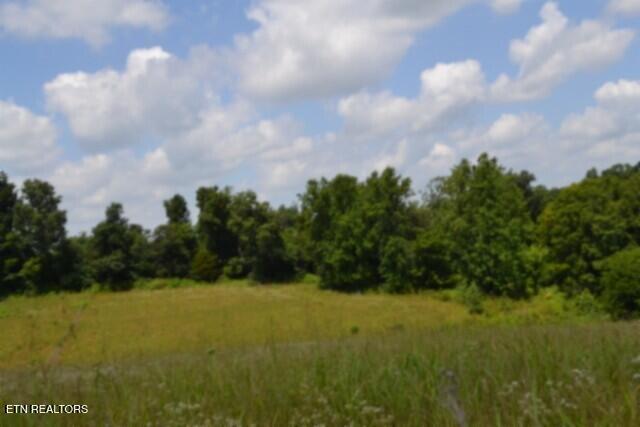 Lot 10 Rose Hill Ed Road Red Boiling Springs TN 37150