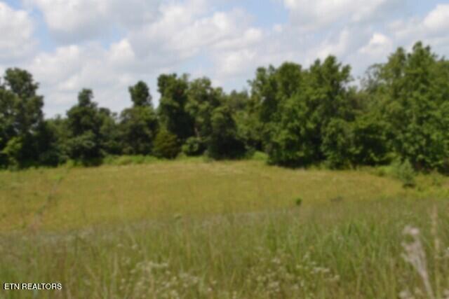 Lot 10 Rose Hill Ed Road Red Boiling Springs TN 37150