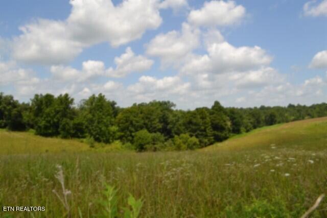 Lot 10 Rose Hill Ed Road Red Boiling Springs TN 37150