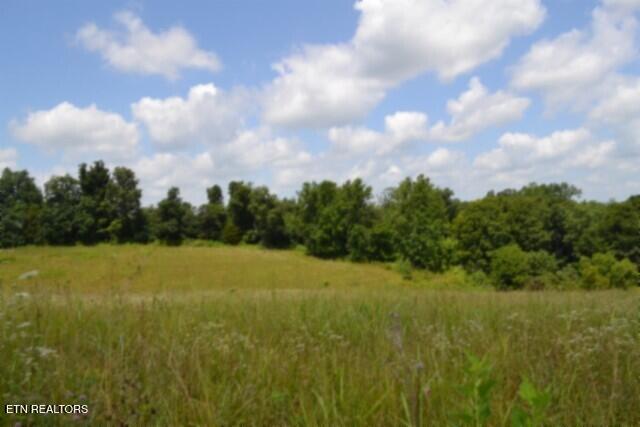 Lot 10 Rose Hill Ed Road Red Boiling Springs TN 37150