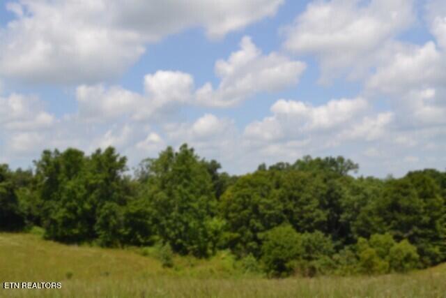 Lot 10 Rose Hill Ed Road Red Boiling Springs TN 37150