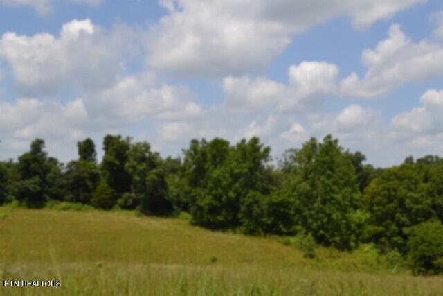 Lot 10 Rose Hill Ed Road Red Boiling Springs TN 37150