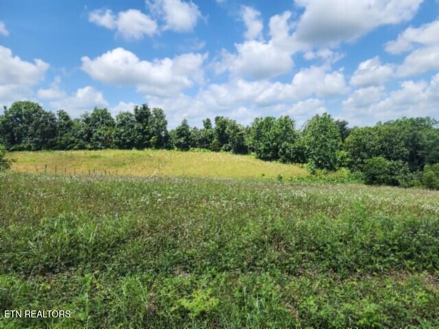 Lot 10 Rose Hill Ed Road Red Boiling Springs TN 37150