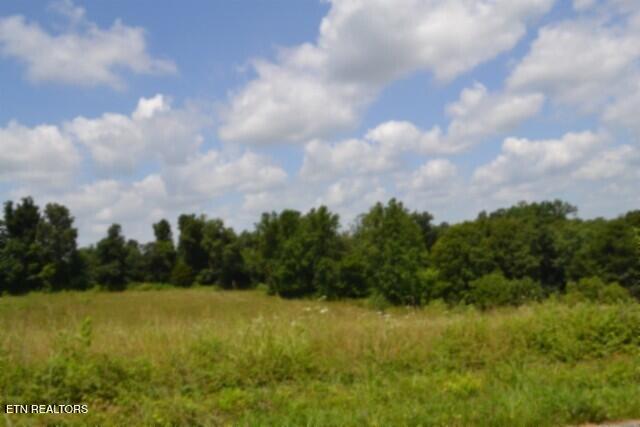 Lot 10 Rose Hill Ed Road Red Boiling Springs TN 37150