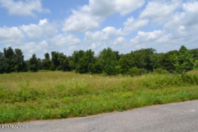 Lot 10 Rose Hill Ed Road Red Boiling Springs TN 37150