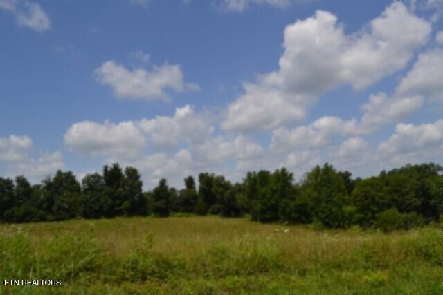 Lot 10 Rose Hill Ed Road Red Boiling Springs TN 37150