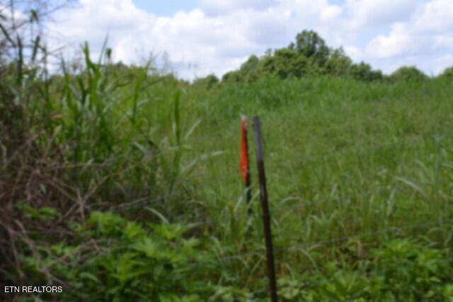 Lot 10 Rose Hill Ed Road Red Boiling Springs TN 37150
