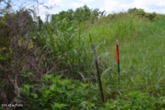 Lot 10 Rose Hill Ed Road Red Boiling Springs TN 37150