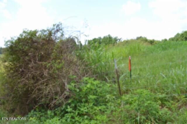 Lot 10 Rose Hill Ed Road Red Boiling Springs TN 37150