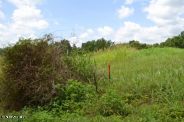 Lot 10 Rose Hill Ed Road Red Boiling Springs TN 37150